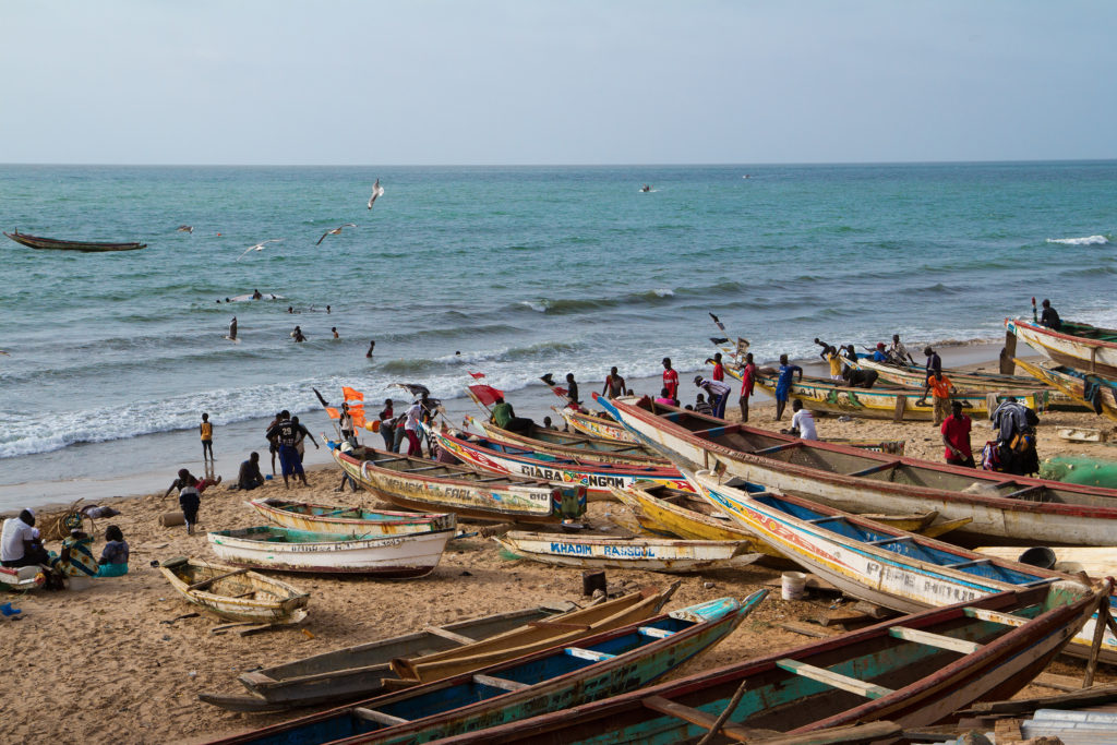 OLVEA - News - New Fishery Improvement Project (FIP) for small pelagic fisheries in Mauritania