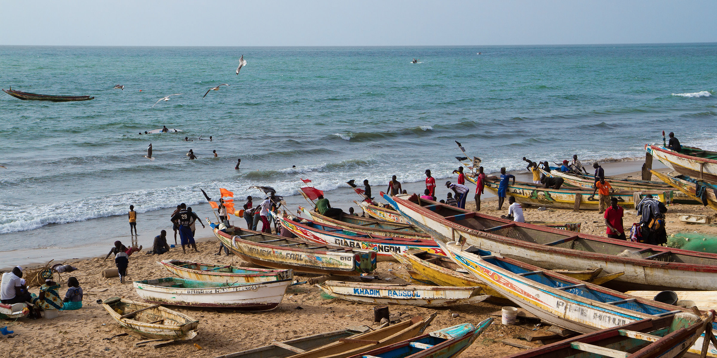 OLVEA - News - New Fishery Improvement Project (FIP) for small pelagic fisheries in Mauritania