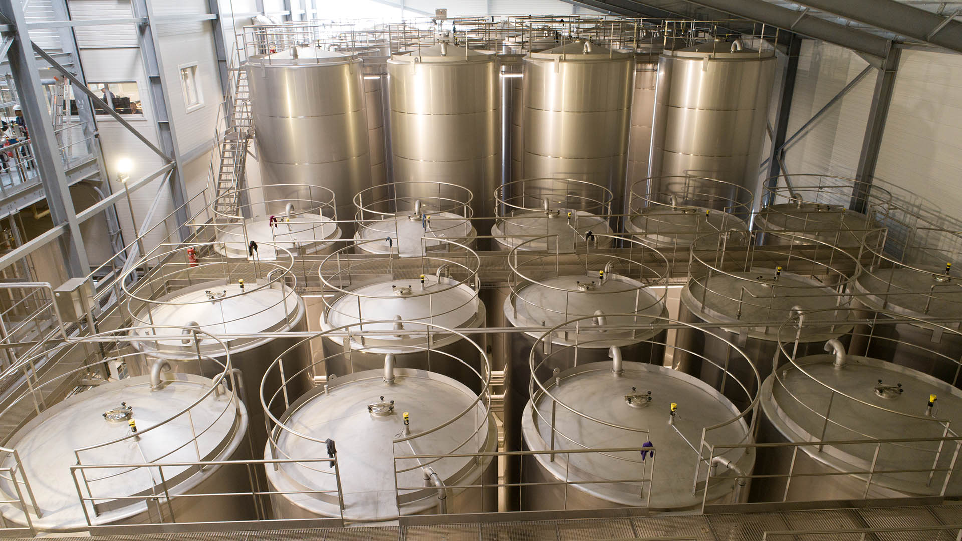 OLVEA Group Vegetable oils and Fish oils