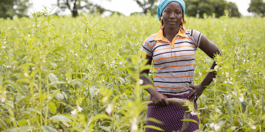 OLVEA-huiles-vegetales-huile-sesame-equitable-ecocert-biologique-cosmetique OLVEA-huiles-vegetales-huile-sesame-equitable-ecocert-biologique-cosmetique