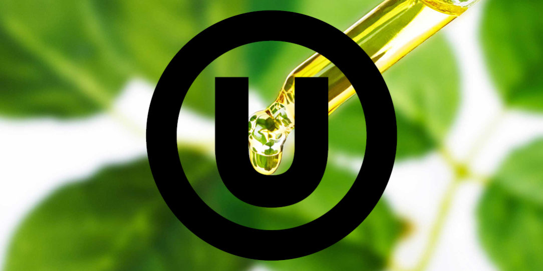 Certification Kosher