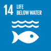 OLVEA-United-Nations-Sustainable-Development-Goal-14-Life-Below-Water