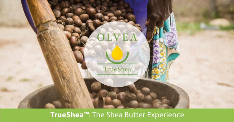 natural pure sustainable true shea butter