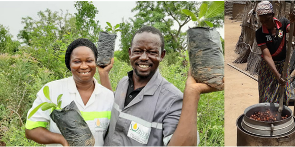 International Day of Forest 2