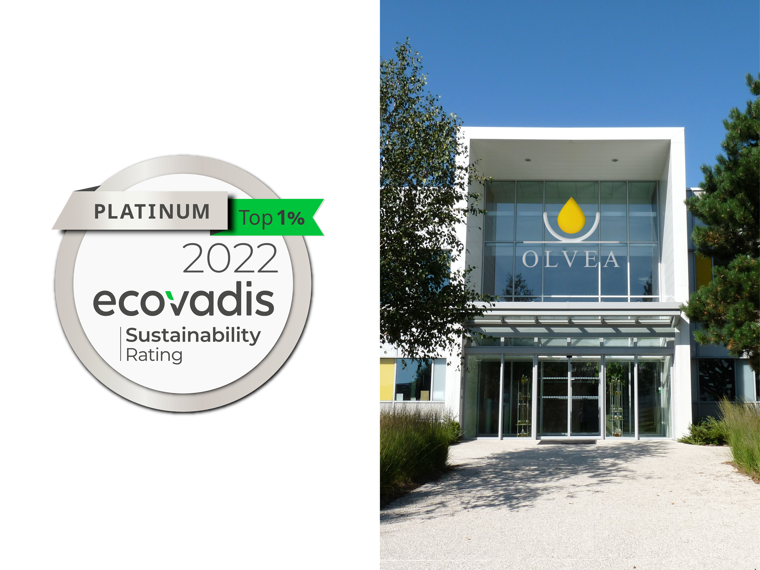 OLVEA honored with EcoVadis Platinum Medal!